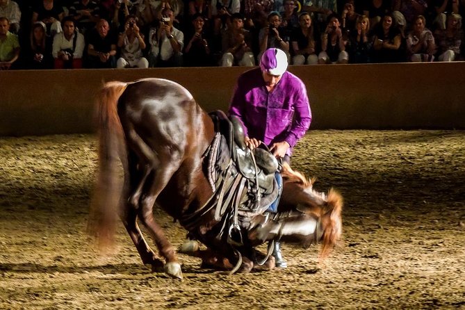 Marrakech Moroccan Dinner and Live Cultural Show - Overview and Highlights