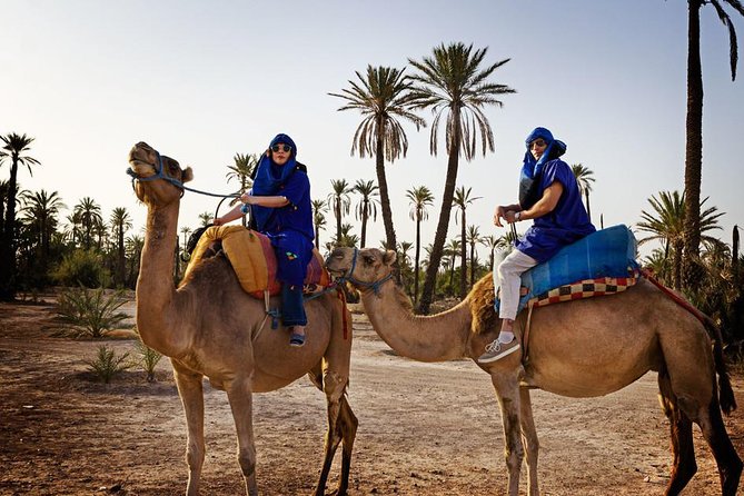 Marrakech Oasis Escape: Camel Ride & Quad Bike Adventure - Logistics and Pickup Details