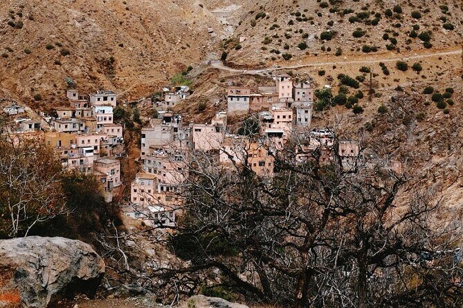 Marrakech: Ourika Valley, Atlas Mountains, Waterfall Hike & Lunch - Authentic Insights from Reviewers
