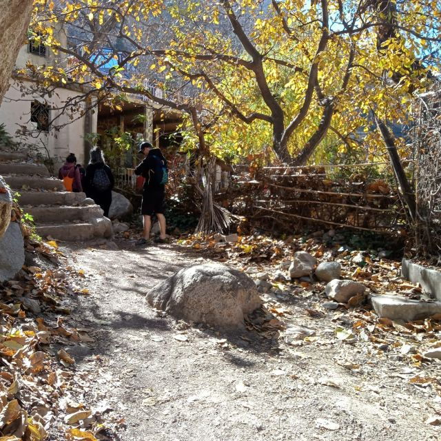 Marrakech: Ourika Valley, Guided Hike Mountain, Day Tour - Tour Itinerary Highlights
