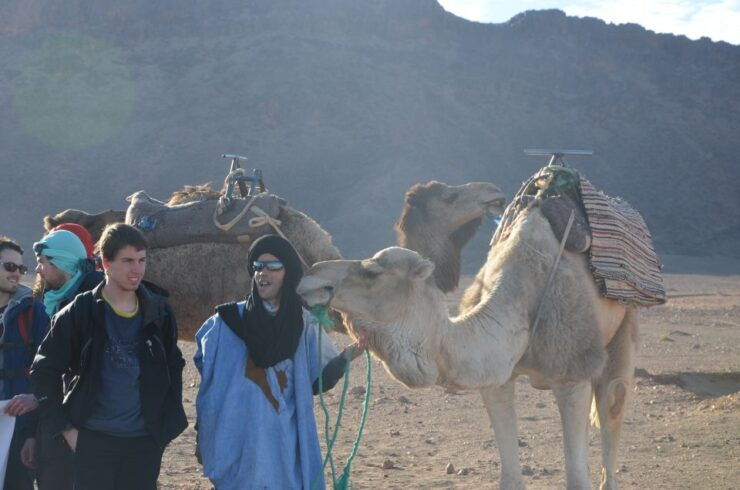 Marrakech: Overnight Sahara Tour to Zagora & Ait Ben Haddou - Tour Highlights