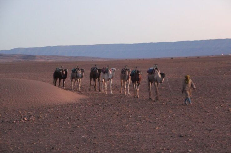 Marrakech: Overnight Sahara Tour to Zagora & Ait Ben Haddou - Activity Highlights