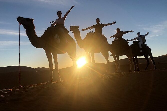 Marrakech: Overnight Sahara Tour to Zagora and Visit Ouarzazate - Pickup Details and Cancellation Policy