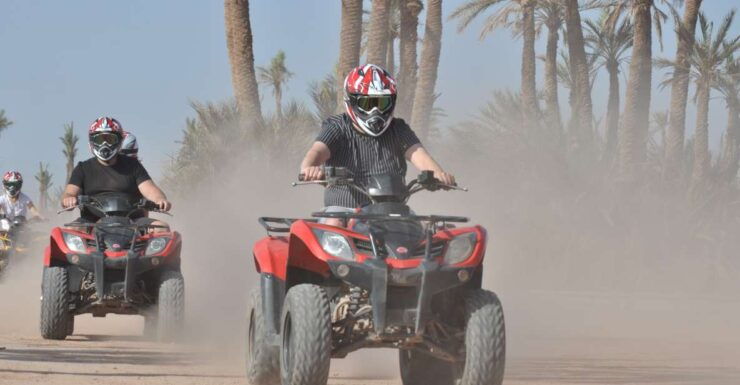 Marrakech: Palm Grove and Jbilat Desert Quad Bike Tour - Activity Details