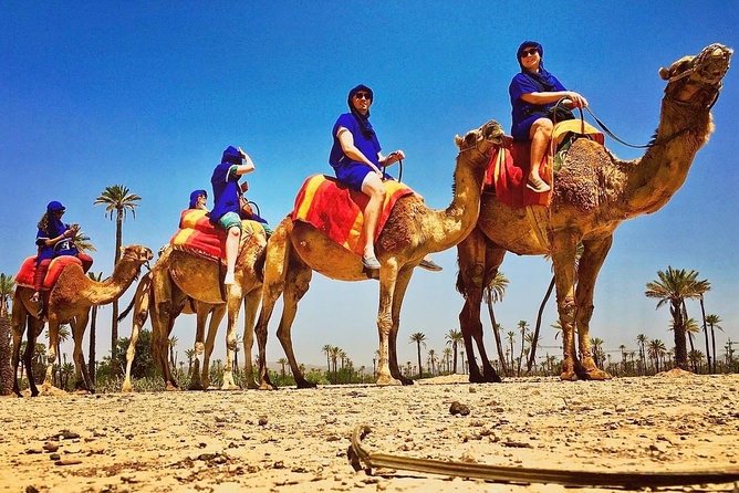 Marrakech Palm Grove ATV and Camel Ride Small Group Tour - Cancellation Policy and Refund Details