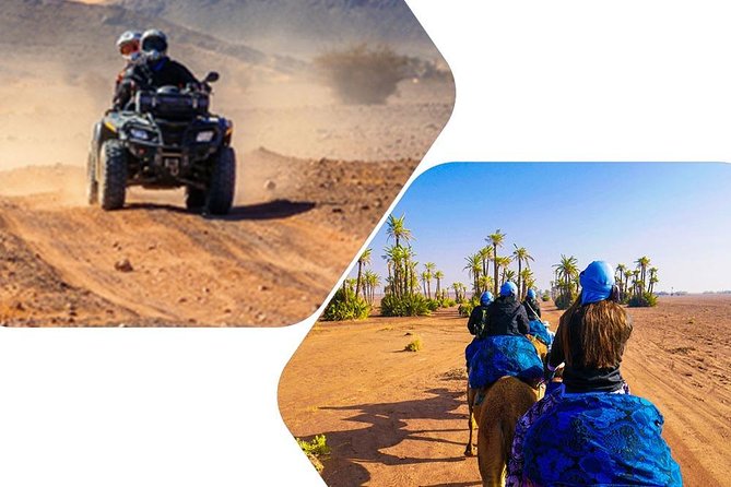 Marrakech Palm Grove ATV and Camel Ride Small Group Tour - Traveler Photos and Reviews