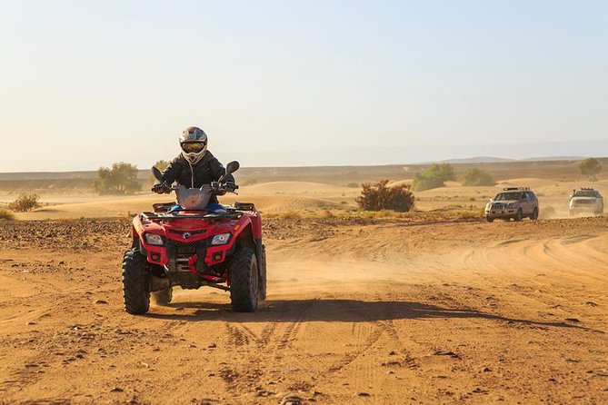 Marrakech Palm Grove ATV and Camel Ride Small Group Tour - Questions and Assistance
