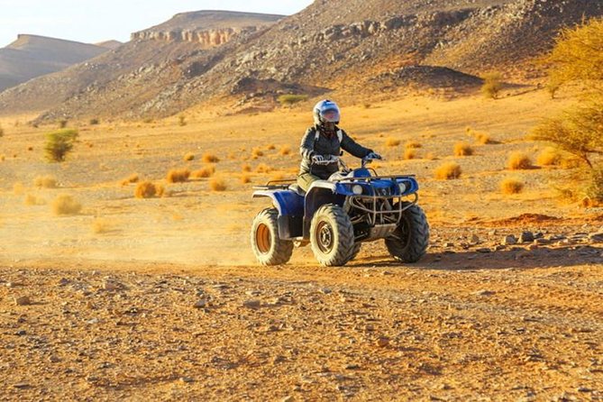Marrakech Palm Grove ATV and Camel Ride Small Group Tour - Pricing and Offer Details