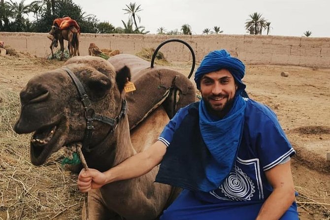 Marrakech Palm Grove Camel Riding Activity - Good To Know