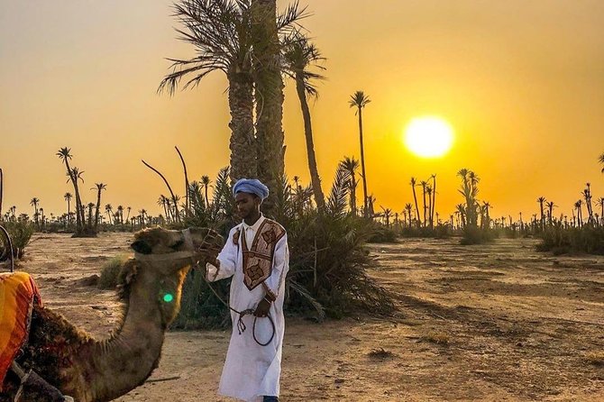 Marrakech Palm Grove Camel Riding Activity - Duration and Inclusions