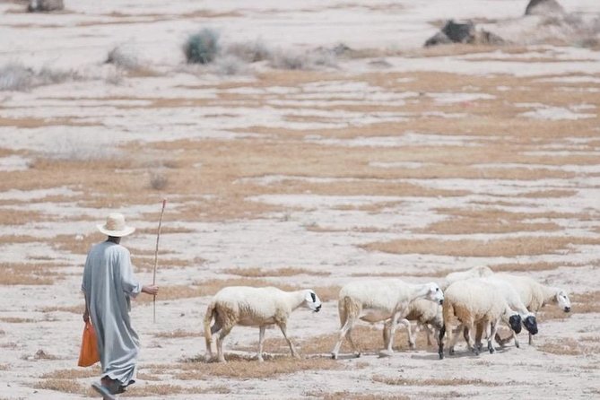 Marrakech Palm Grove Cycling, Local Community & Picnic Tour - Discovering Sustainable Practices