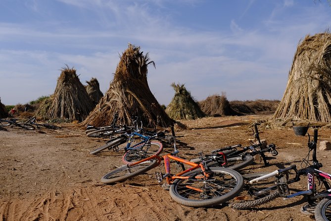 Marrakech Palm Grove Cycling, Local Community & Picnic Tour - The Sum Up