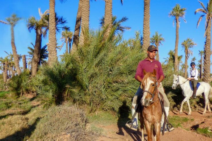 Marrakech: Palm Grove Horseback Riding Tour - Activity Details