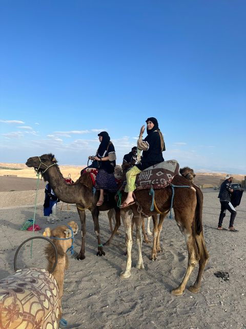 Marrakech: Palm Grove Package, Quad & Camel, Tea & Transfert - Highlights