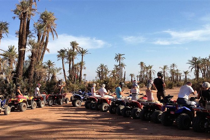 Marrakech Palm Oasis and Desert Quad Bike Adventure - Authentic Berber Tea and Snack
