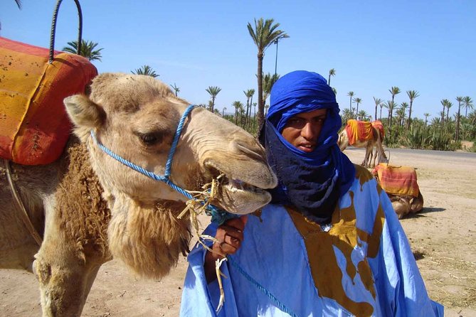 Marrakech Palmeraie: Camel Ride at Sunset - Experience Details