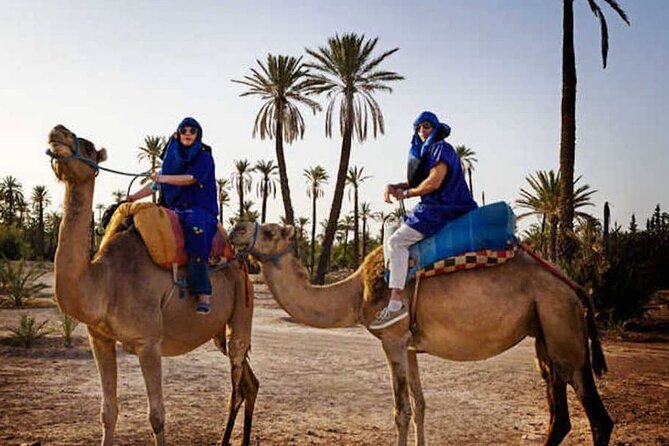 Marrakech Palmeraie: Camel Ride at Sunset - Booking Information
