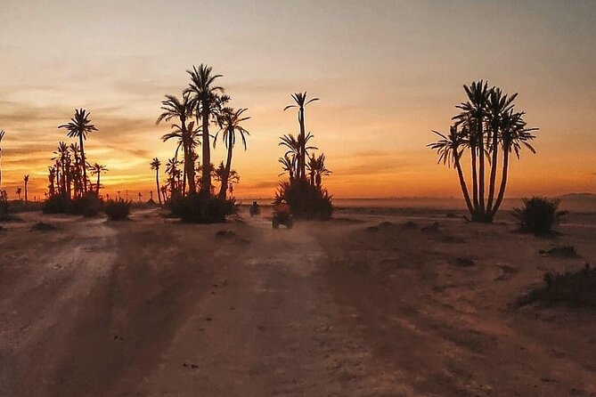 Marrakech Palmeraie: Camel Ride at Sunset - Reviews