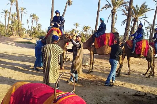 Marrakech Palmeraie: Camel Ride at Sunset - Directions