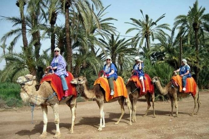 Marrakech Palmeraie: Camel Ride at Sunset - Frequently Asked Questions