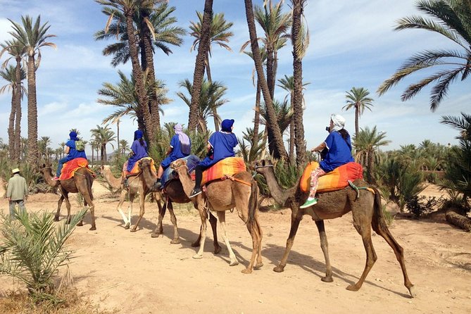 Marrakech Palmeraie: Camel Ride at Sunset - The Sum Up