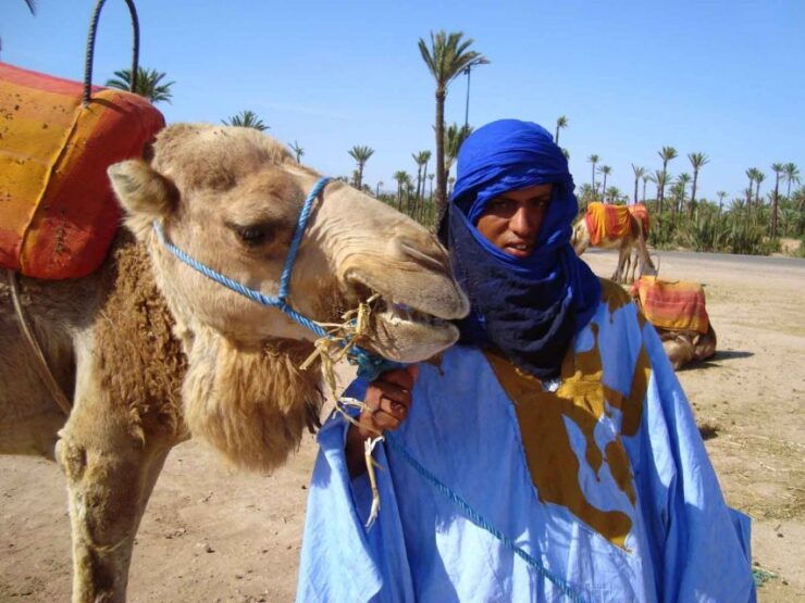 Marrakech Palmeraie: Camel Ride at Sunset - Experience Marrakechs Palmeraie at Sunset