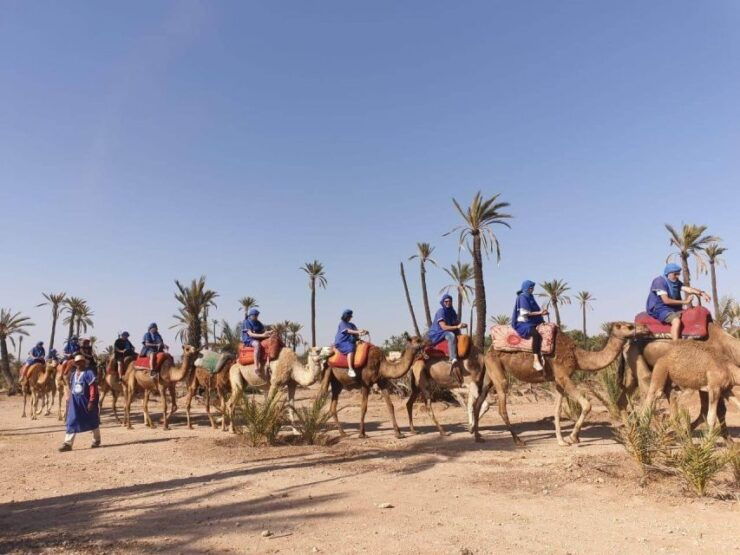 Marrakech Palmeraie: Camel Ride at Sunset - Camel Ride Through Desert Landscape