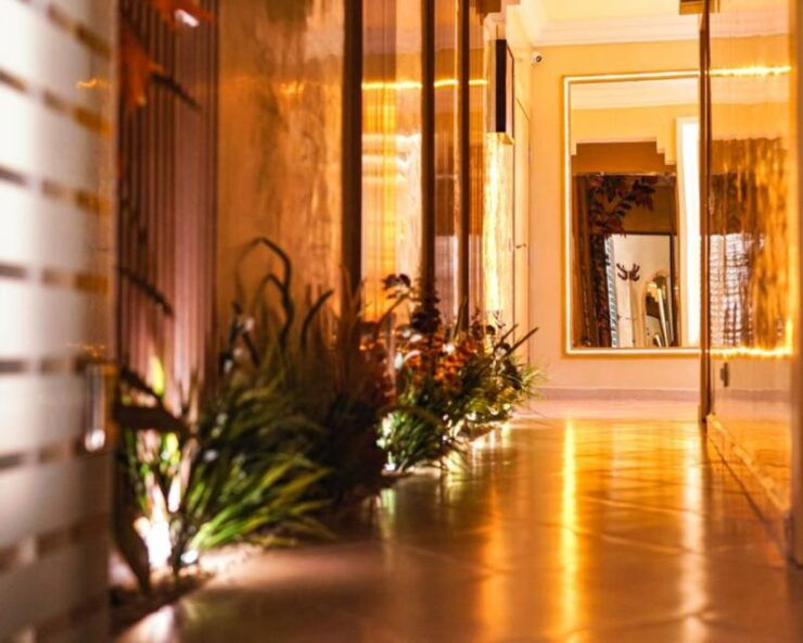 Marrakech: Palmeraie Camel Ride & Traditional Moroccan Spa - Activity Details