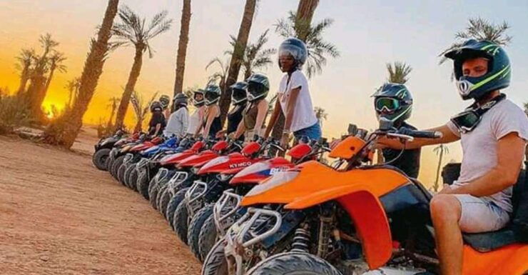 Marrakech: Palmeraie Private Quad Bike Experience - Activity Details