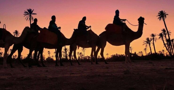 Marrakech Palmeraie: Sunset Camel Ride - Booking Details