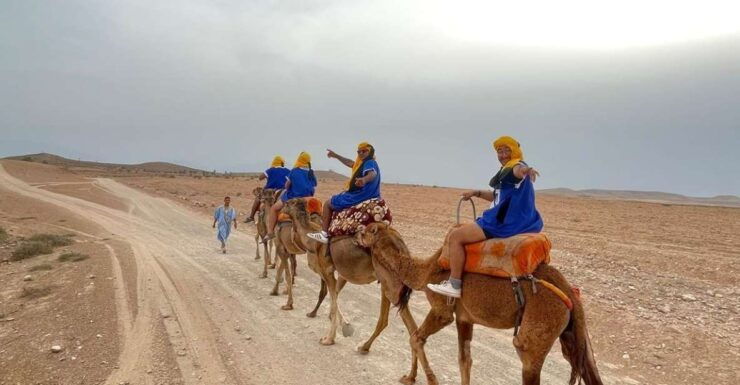 Marrakech: Palmeraie Sunset Camel Ride With Moroccan Tea - Activity Location and Experience