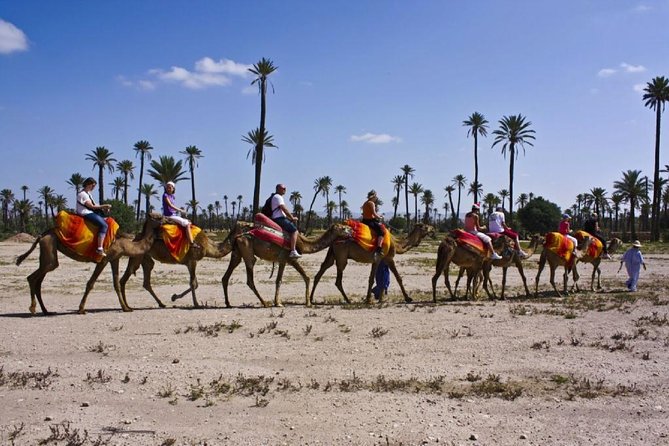 Marrakech Private Camel Riding Experience (Feb ) - Pricing and Booking Details