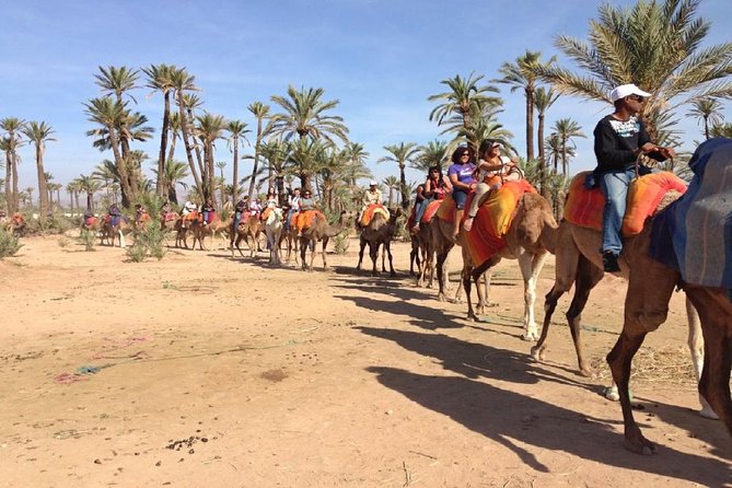Marrakech Private Camel Riding Experience (Feb ) - Tour Overview