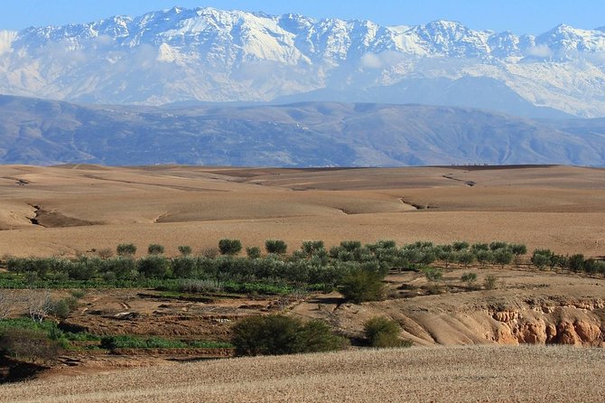 Marrakech Private Day Tour to Agafay Desert & Lake Takerkoust - Activities and Experiences