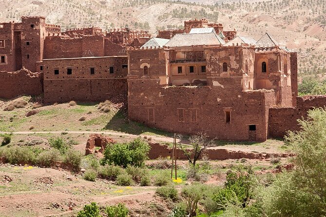Marrakech Private Day Tour to Ouarzazate - Customer Reviews