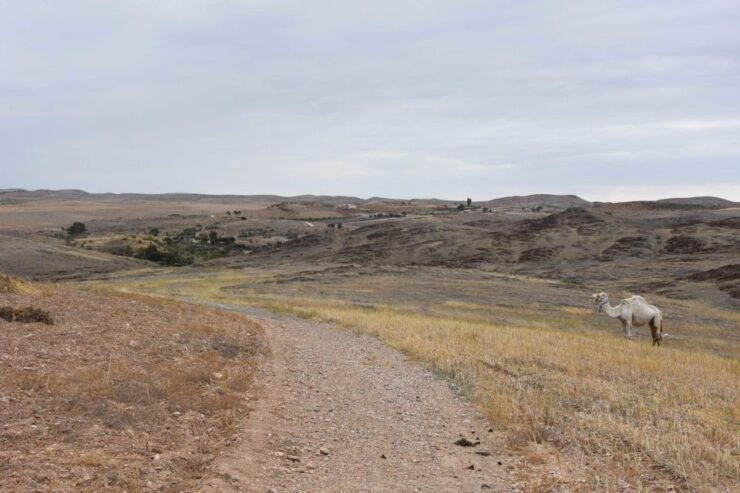 Marrakech: Private Day Trip Desert Agafay & Atlas Mountains - Experience Highlights