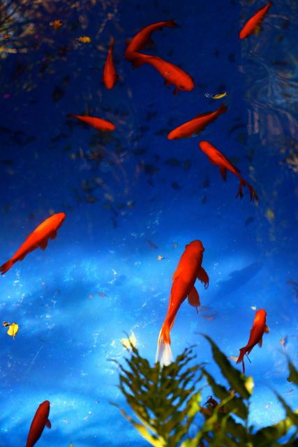 Marrakech: Private Full-Day City Tour - Pickup and Meeting Point Information