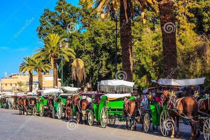Marrakech Private Horse-Drawn Carriage Ride - Good To Know