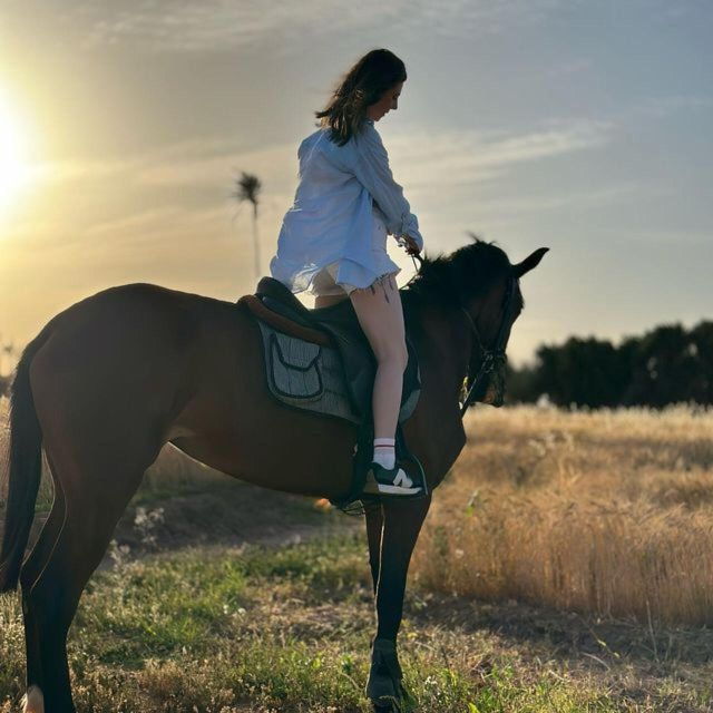 Marrakech: Private Horseback Ride in the Palm Grove With Tea - Experience Highlights