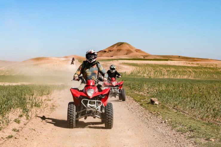 Marrakech Quad Bike Experience: Desert and Palmeraie - Experience Overview