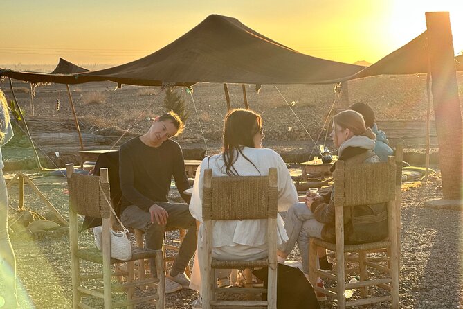 Marrakech: Quad Bike in Palm Grove & Jbilat Desert With Transfer - Quad Biking in Palm Grove