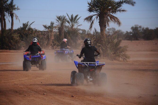 Marrakech Quad Bike Palm Grove and Desert Adventure - Pricing and Booking