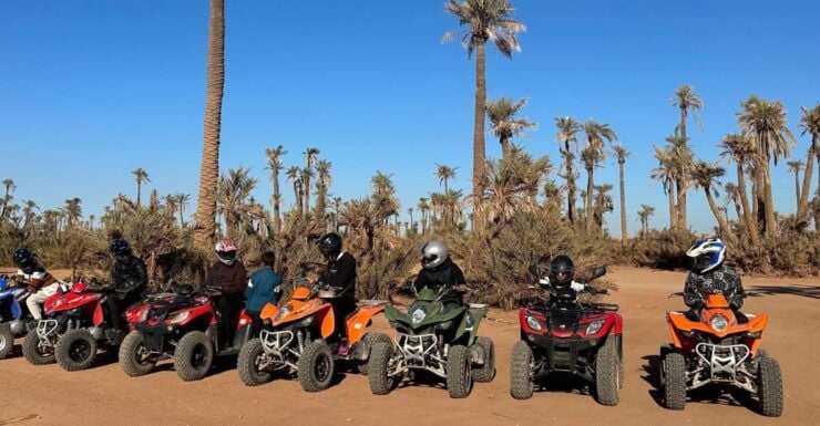 Marrakech: Quad Bike Tour in the Palm Grove Dunes With Tea - Activity Highlights