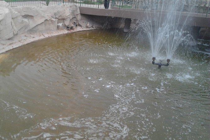 Marrakech Quad - Good To Know