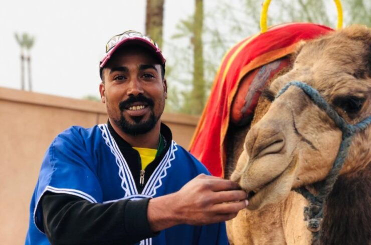 Marrakech : Quad & Dromedary Ride With Break Tea & Transfert - Overview of Quad & Dromedary Ride