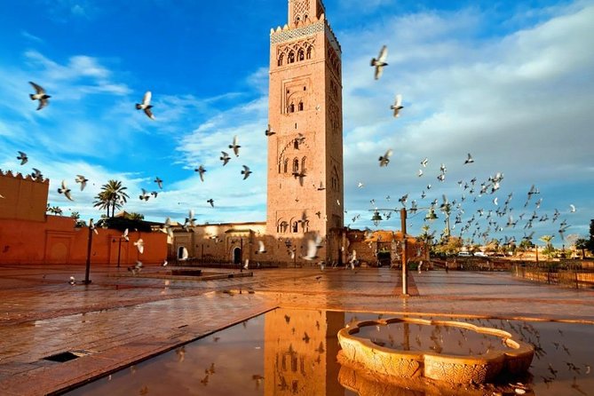 Marrakech Sightseeing Tour - Trusted Online Booking Platform