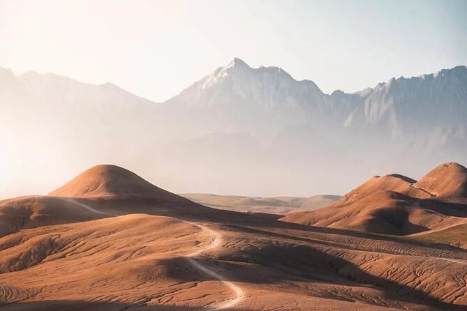 Marrakech Sunset Camel Ride & Agafay Dinner Under the Stars - Pricing and Booking Details