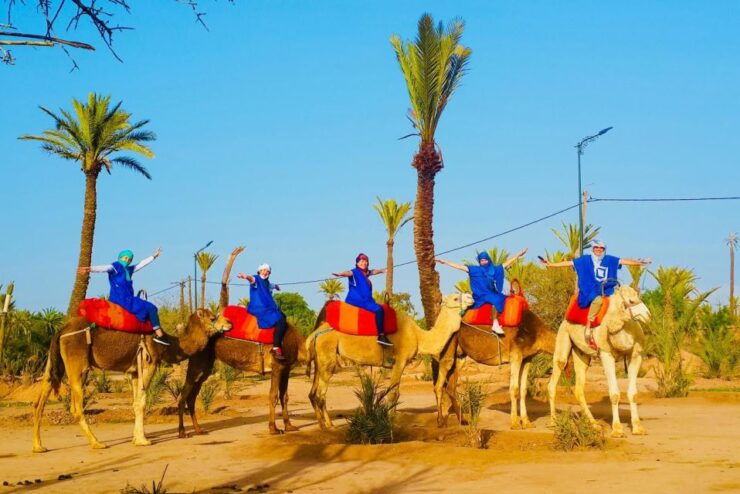 Marrakech: Sunset Camel Ride in Palmeraie - Experience Highlights