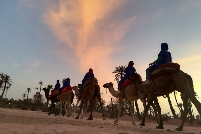 Marrakech Sunset Camel Ride in the Palm Grove - Pickup and End Point