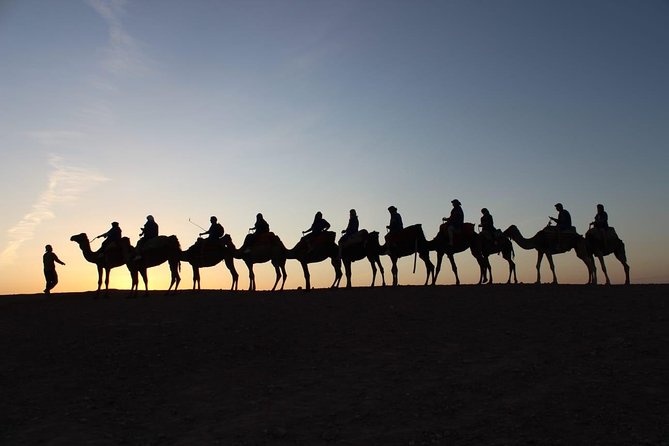 Marrakech Sunset Camel Ride in the Palm Groves - Reviews
